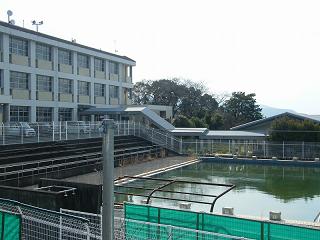 11042s.jpg 800x600 163KB 