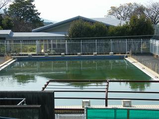 13006s.jpg 800x600 193KB 