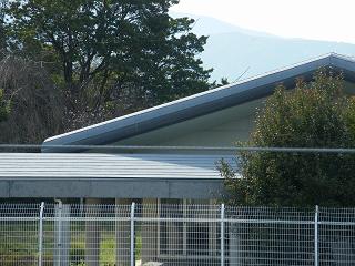 13007s.jpg 800x600 218KB 