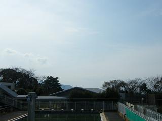 13009s.jpg 800x600 67KB 