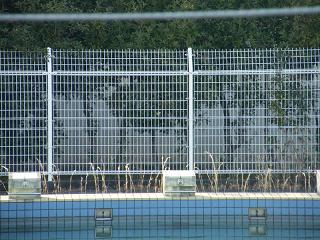 13015s.jpg 800x600 232KB 