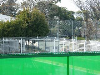 13023s.jpg 800x600 245KB 