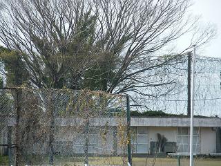 13027s.jpg 800x600 278KB 