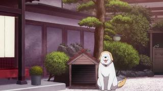 02076.jpg 512x288 44KB 