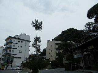 07003s.jpg 800x600 109KB 