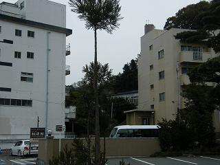 07010s.jpg 800x600 137KB 