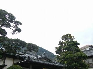 10001s.jpg 800x600 129KB 