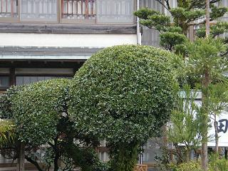 10053s.jpg 800x600 263KB 