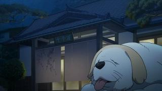 10087.jpg 512x288 30KB 