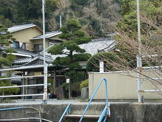 09040s.jpg 800x600 267KB 