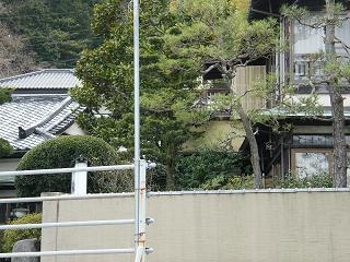 09042s.jpg 800x600 249KB 