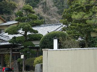 09044s.jpg 800x600 243KB 