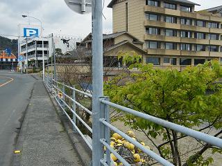 10082s.jpg 800x600 230KB 