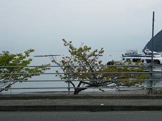 10083s.jpg 800x600 145KB 