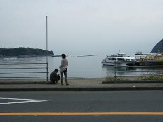 13032s.jpg 800x600 107KB 