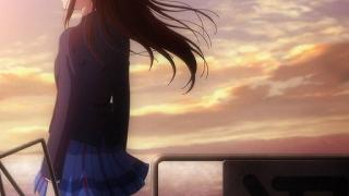 01119.jpg 512x288 29KB 