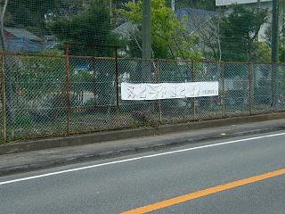 02091s.jpg 800x600 246KB 