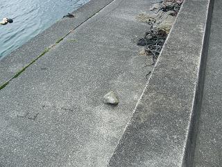 10097s.jpg 800x600 280KB 