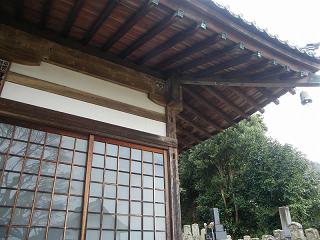 08147s.jpg 800x600 170KB 