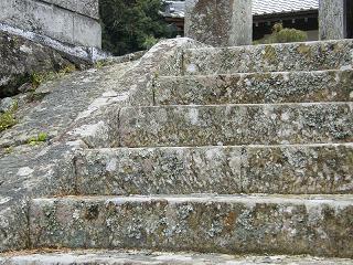 12049s.jpg 800x600 295KB 