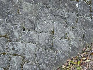 05009s.jpg 800x600 291KB 