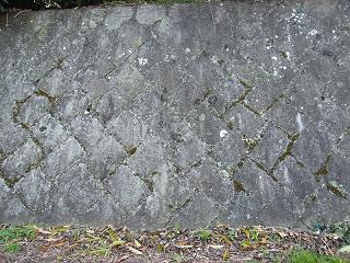 05012s.jpg 800x600 296KB 