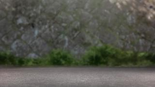 05015.jpg 512x288 26KB 