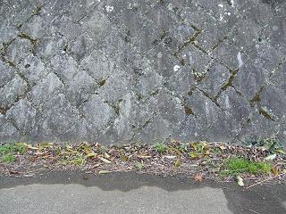 05015s.jpg 800x600 296KB 