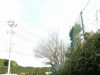 05016s.jpg 800x600 169KB 