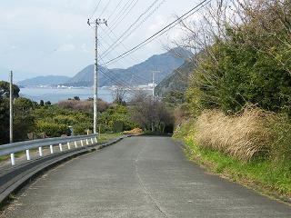 11126s.jpg 800x600 234KB 