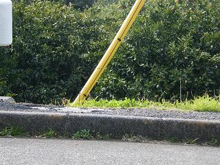 11127s.jpg 800x600 283KB 