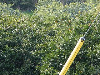 11128s.jpg 800x600 307KB 