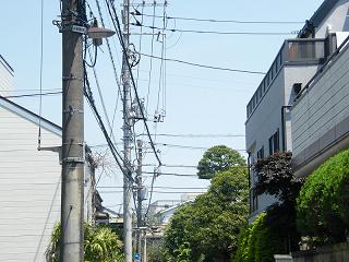 07175s.jpg 800x600 192KB 