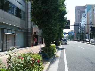 07179s.jpg 800x600 210KB 