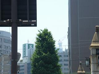 07182s.jpg 800x600 110KB 