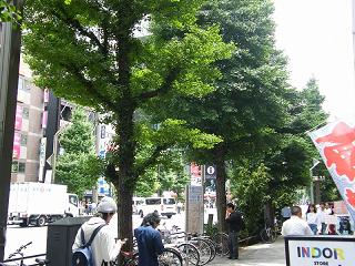 07068s.jpg 800x600 270KB 