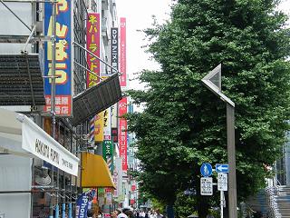 07069s.jpg 800x600 261KB 