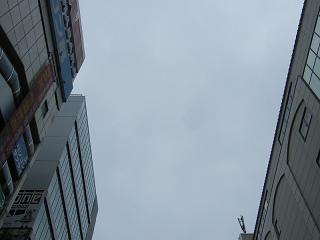 01002s.jpg 800x600 83KB 