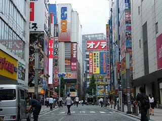 07065s.jpg 800x600 218KB 