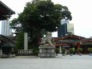 07142s.jpg 800x600 183KB 