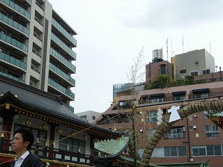 07155s.jpg 800x600 162KB 