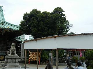 07161s.jpg 800x600 149KB 