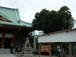 07163s.jpg 800x600 154KB 