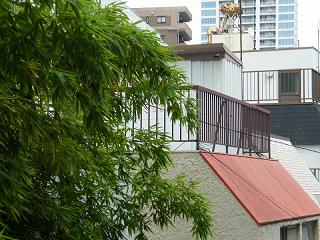 07110s.jpg 800x600 221KB 