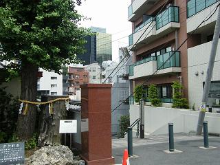 07124s.jpg 800x600 209KB 