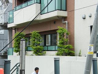 07125s.jpg 800x600 186KB 