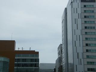 12092s.jpg 800x600 79KB 