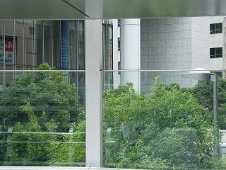 12103s.jpg 800x600 208KB 