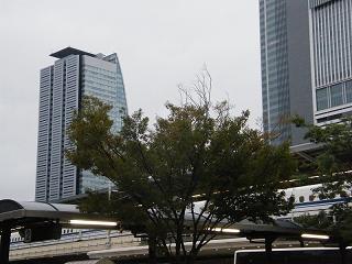 13050s.jpg 800x600 160KB 
