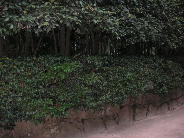2159s.jpg